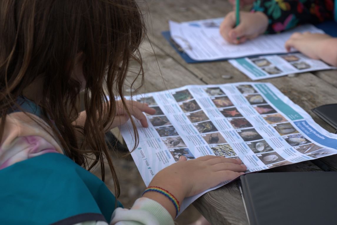 A child reading our seashore safari guide at the beach