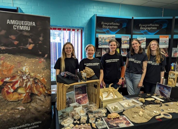 An Amgueddfa Cymru Event at Rhyl Library