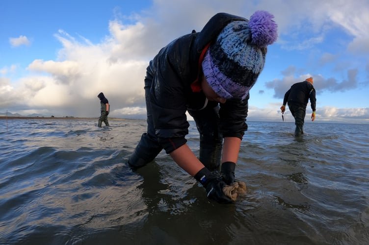 Further investment – both private and public – is needed in marine regeneration projects