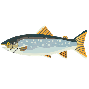 Arctic char