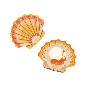 King scallop