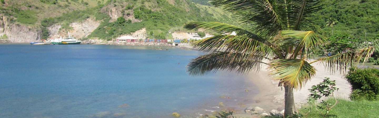 A sunny view of a calm, turquoise bay with a sandy beach and lush green hills in the background. A large palm tree is in the right foreground, and a ferry is docked on the left side of Little Bay in Montserrat.