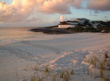 A sandy beach in Anguilla