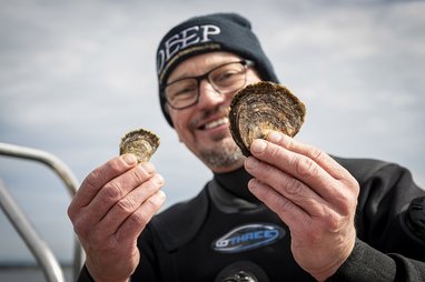Professor Bill Sanderson, Lead scientist, Heriot-Watt University showing oyster growth by holding up European oysters from a boat. He is wearing a dry suit.
