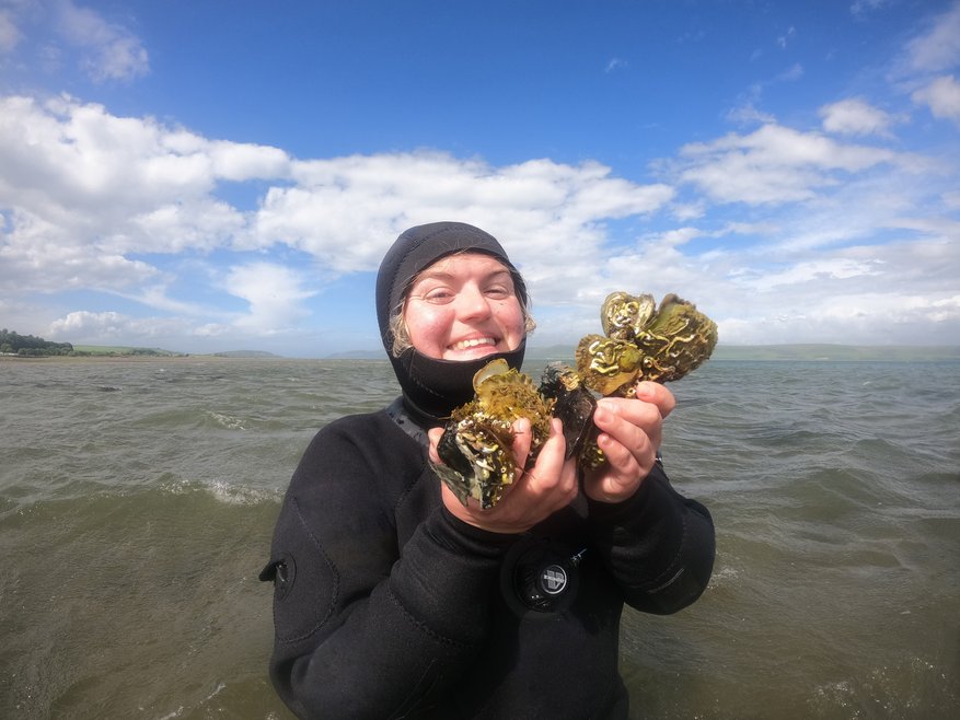 Shellfish Restoration Officer Emmy Young smiles at the camera from the water. She is wearing a full dry suit with just her face showing and is holding a clutch of oysters.