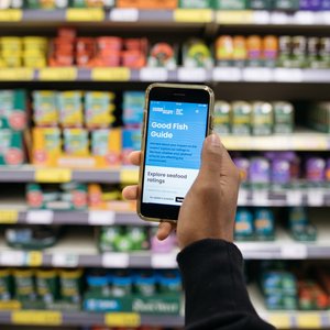A hand holding up a phone with Marine Conservation Society's Good Fish Guide app on the screen. In the background is a blurred supermarket shelf filled with food products.