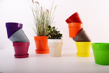 A group of differently coloured plastic plant pots. An orangle pot has a plant growing within it.