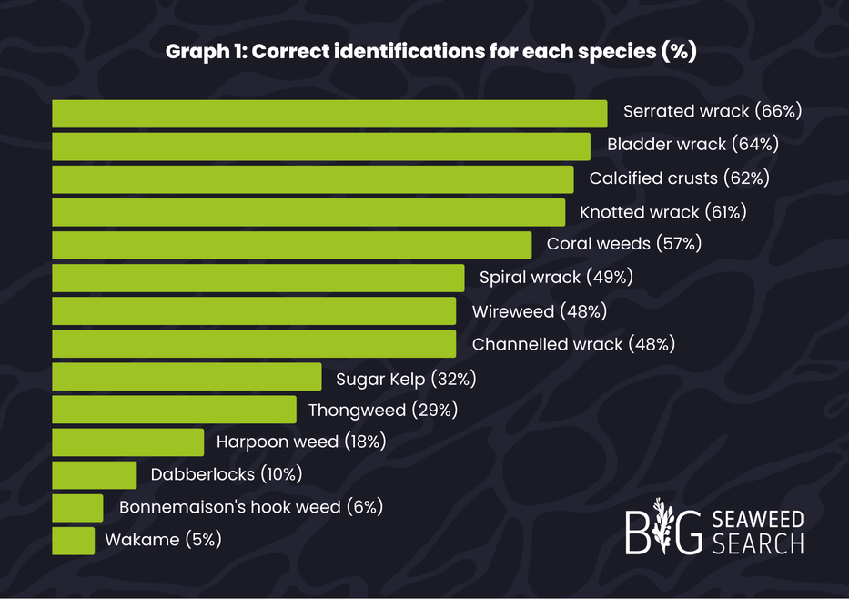 A bar graph titled 'Graph 1: Correct identifications for each species (%)' showing the percentage of correct identifications for 14 different seaweed species.