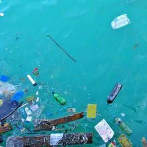 A variety of single-use plastic litter including bottles and cartons are floating in the ocean