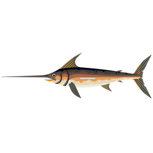Swordfish