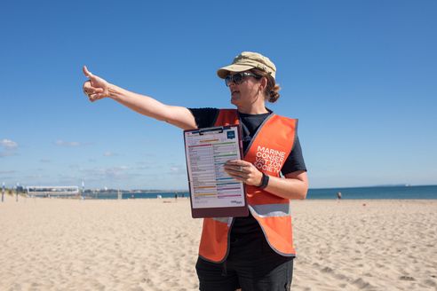 A woman with a hat and sunglasses standing on a beach. She is pointing to the left while holding a survey form for others to see. She is wearing a bright orange safety vest with a Marine Conservation society logo on it.