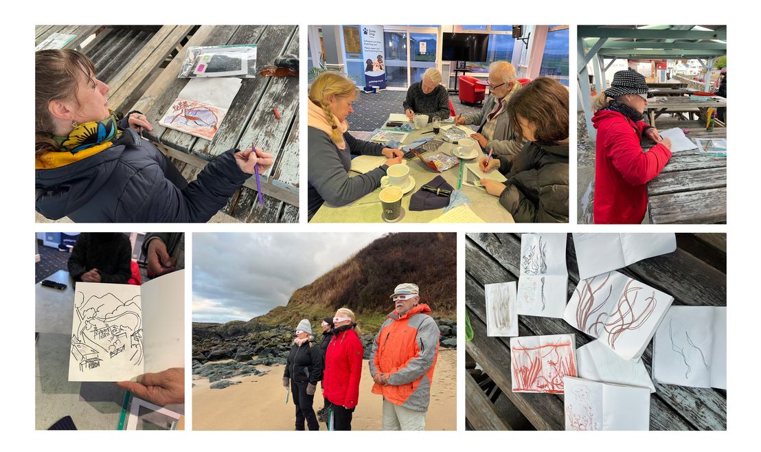 Several images in one to showcase Lily Tiger taking part in the Natur Am Byth project, including creating artwork and standing on a beach