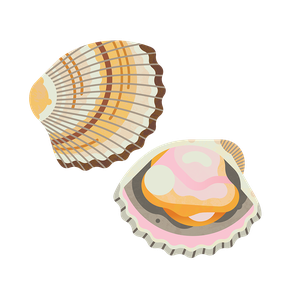 Cockle