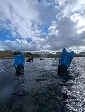 A low-angle, first-person view from the water of two blue swimming fins. In the background, several people are diving. A row of buildings under a partly cloudy sky can be seen behind them. The water is choppy and reflects the sunlight.