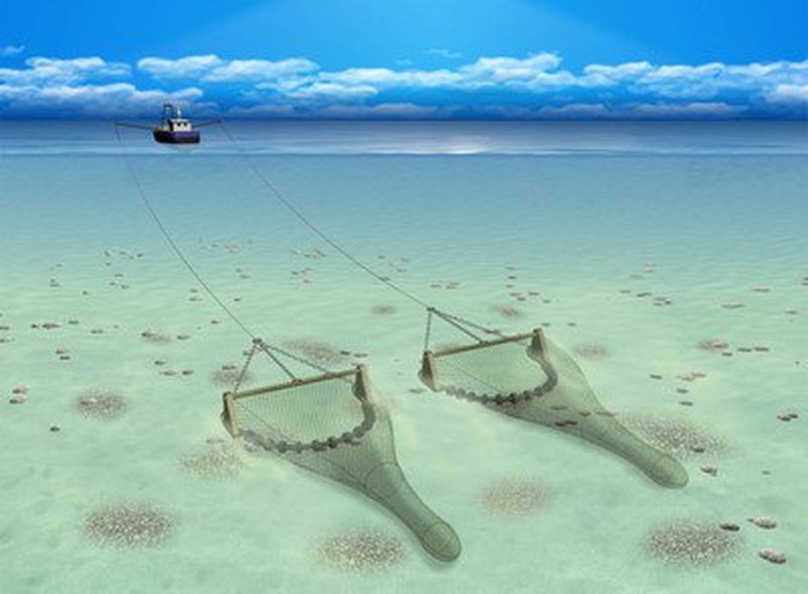 A boat is towing a net over the seabed. The net is held open by a heavy beam.