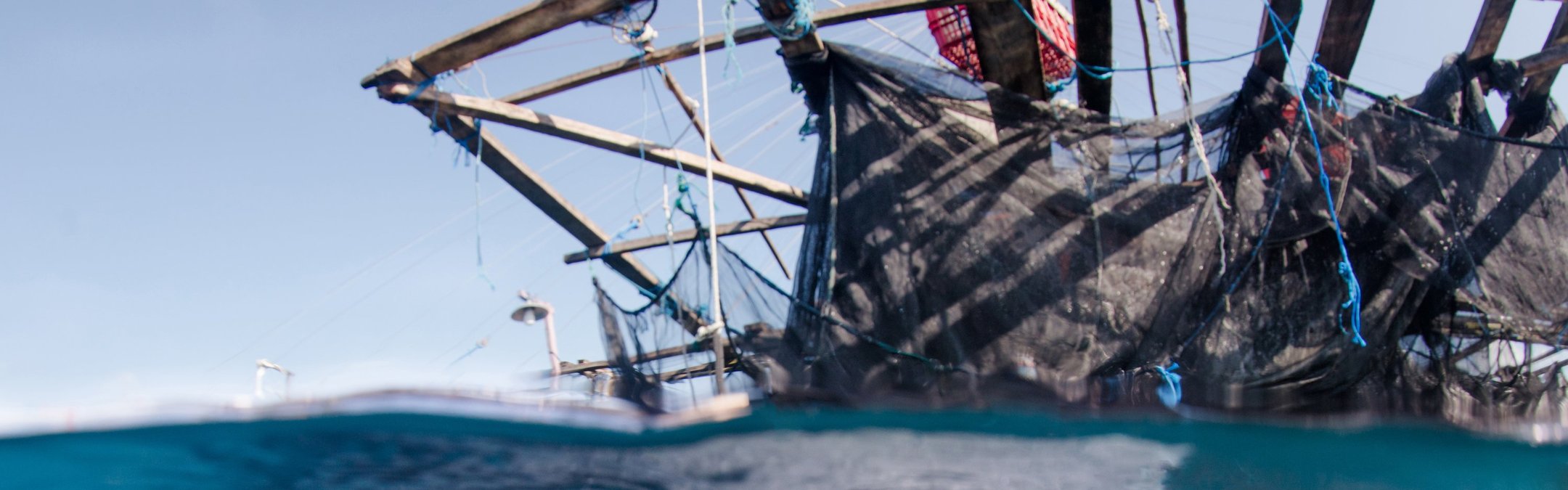 Split between an underwater/surface view, a majestic whale shark with characteristic spotted skin swims close to a fishing vessel.