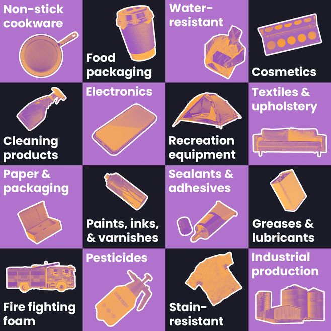 An infographic of different household items that contain PFAS, including: cleaning products, electronics, textiles, sealants, cosmetics, waterproof, stain resistant