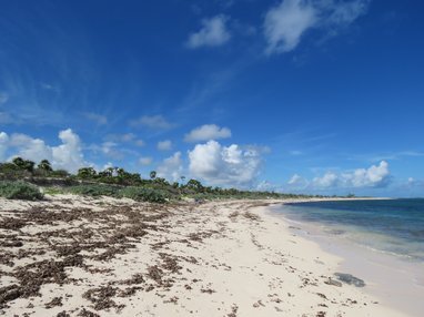East Caicos sandy coastline