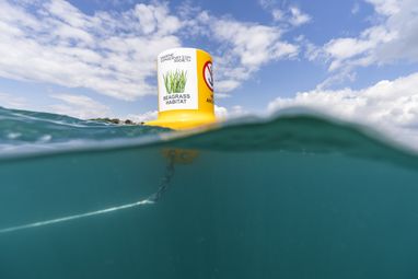 A yellow buoy with 'no anchoring, seagrass restoration' written on it defends a protected seabed area. The project was in collaboration with Salcombe Gin.