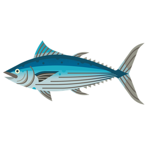 Skipjack tuna