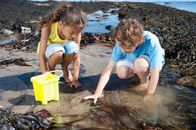 2 children engaging in an educational coastal activity known as rock pooling. The gil has a yellow bucket next to her.