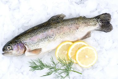 A brown trout is laid on a bed of ice, with two lemon slices next to it and some green foliage