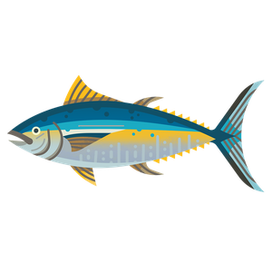 Atlantic bluefin tuna