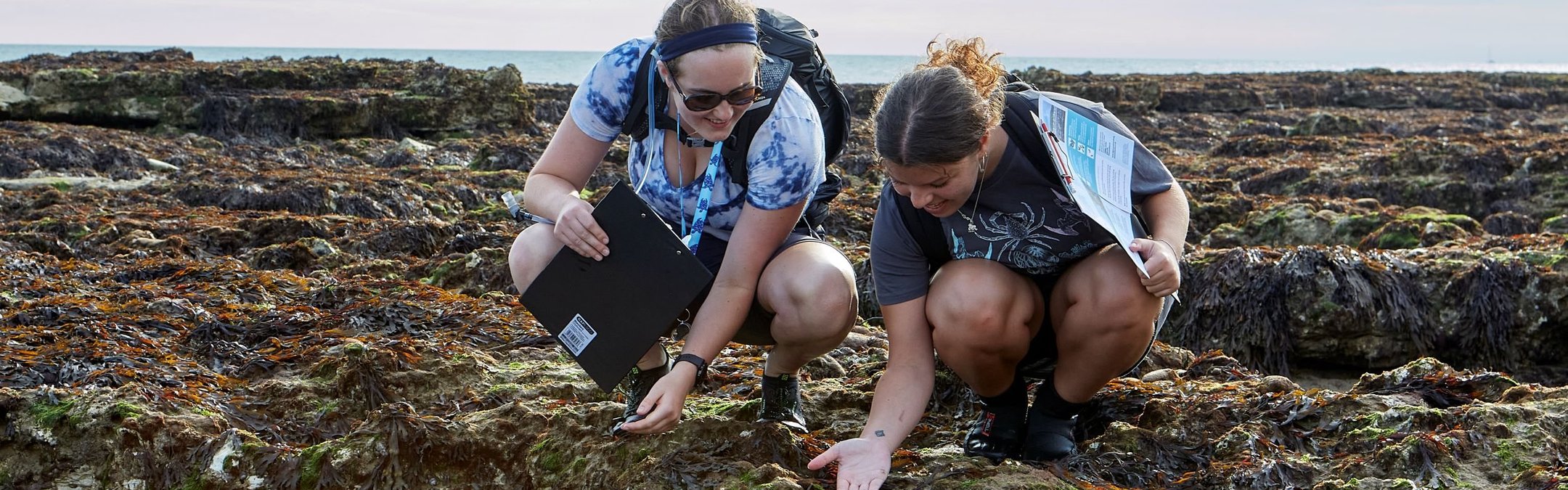 Two women, participating in the Big Seaweed Search, are crouched on a rocky, seaweed-covered shore near the ocean. One woman holds a clipboard and points at something on the ground, while the other looks down at her hand.