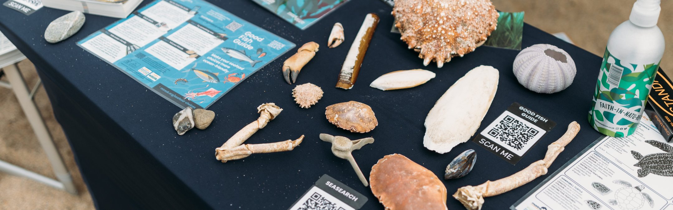 A display table at an event featuring various marine specimens including shells, bones, and crab claws, alongside informational books, flyers with QR codes for the "Good Fish Guide" and "Seasearch", and a bottle of hand sanitizer.