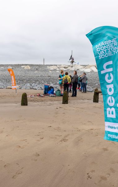 A beach with a flag in the foreground that reads "Marine Conservation Society Beach Clean"