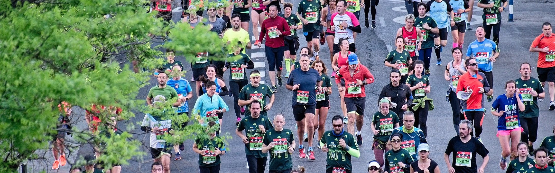 A large group of people participating in a marathon