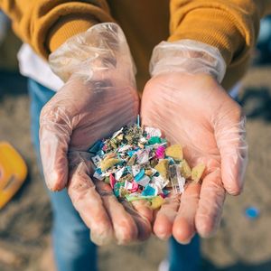 A pair of gloved hands are held together, revealing a pile of colourful microplastics found on a beach clean