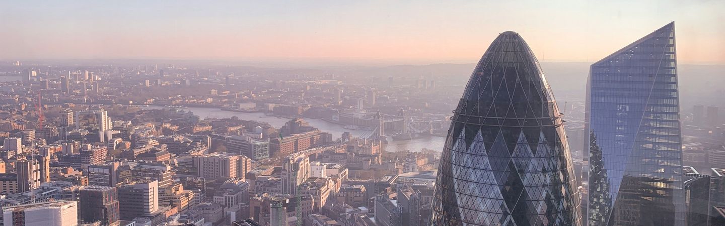 A view of the London skyline at dawn with the Gherkin in the foreground.