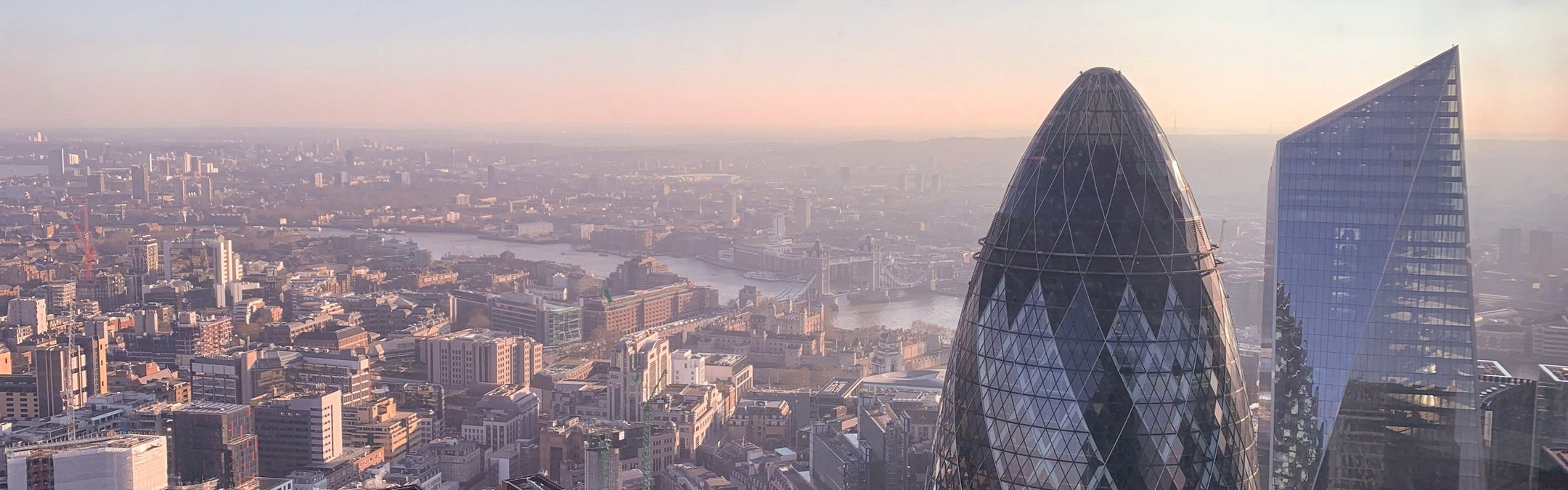 A view of the London skyline at dawn with the Gherkin in the foreground.