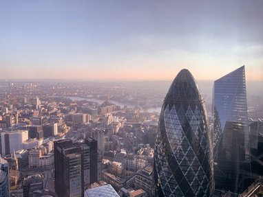 A view of the London skyline at dawn with the Gherkin in the foreground.