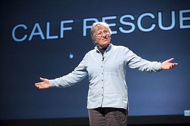 Katy Payne standing in front of a large screen with her arms stretched out . She appears to be presenting to an audience behind the photo. The screen reads 'CALF RESCUE'