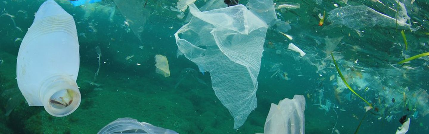 Different types of plastic including bags, cups and straws are pictured under the ocean, highlighting the plastic pollution problem