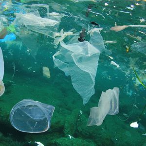 Different types of plastic including bags, cups and straws are pictured under the ocean, highlighting the plastic pollution problem