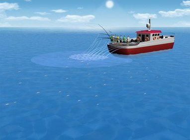 A boat is on the water with a number of rods at the back of the boat