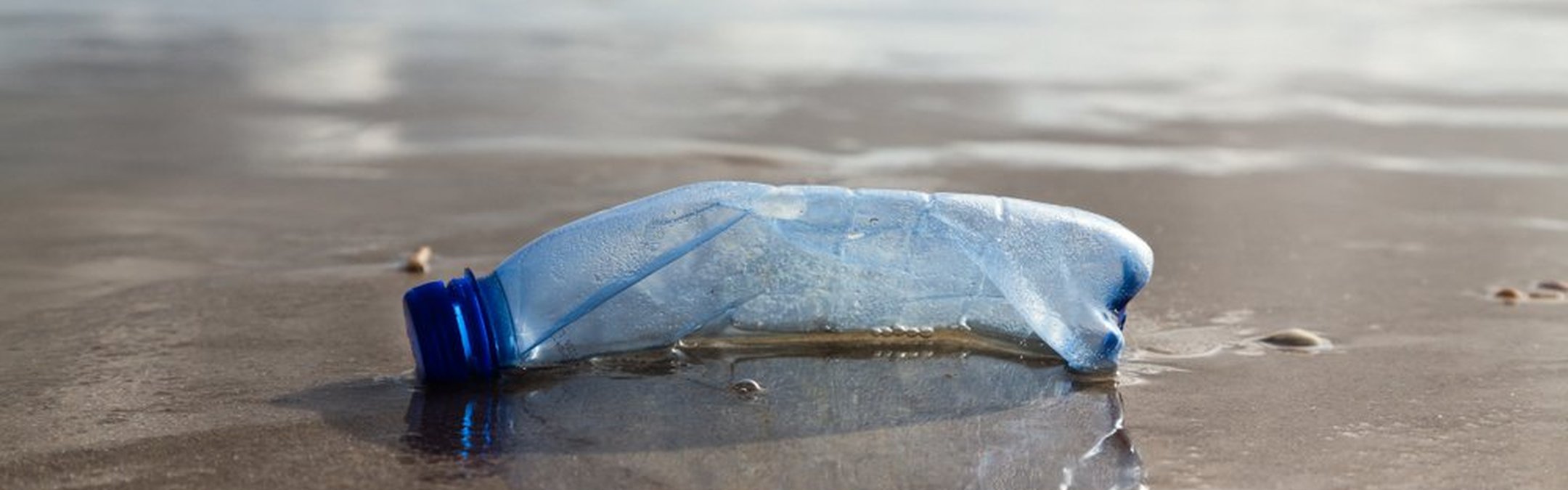 A crushed plastic bottle lies on the shoreline, with the ocean waves lapping in the distance