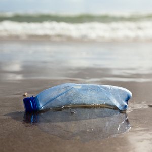 A crushed plastic bottle lies on the shoreline, with the ocean waves lapping in the distance