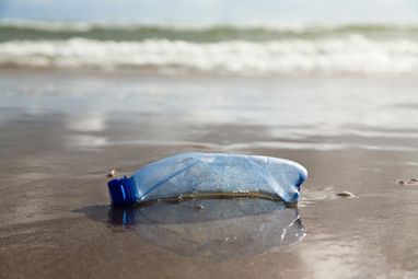 A crushed plastic bottle lies on the shoreline, with the ocean waves lapping in the distance