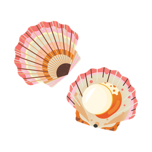 Variegated scallop