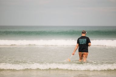 A man wearing a Marine Conservation Society t-shirt and orange swimming shorts walking into open water on a beach. His back is to the cameraand he is holding a net.