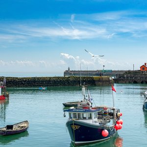 Several small, colourful fishing boats in Folkestone Harbour, with blue skies and the sun shining in the sky.