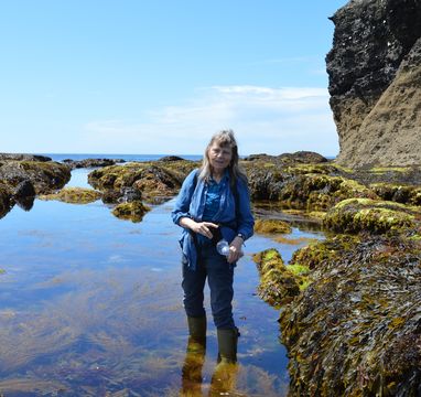 Professor Juliet Brodie standing in a rocky tidal pool with seaweed.