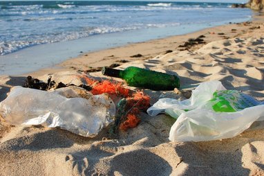 litter, specifically plastic bottles and plastic bags, polluting a sandy beach and shoreline.