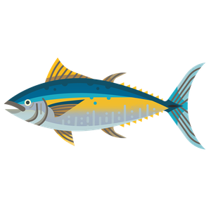 Pacific bluefin tuna