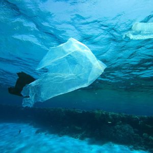 An underwater photo of 3 plastic bags floating in the ocean.