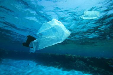 An underwater photo of 3 plastic bags floating in the ocean.